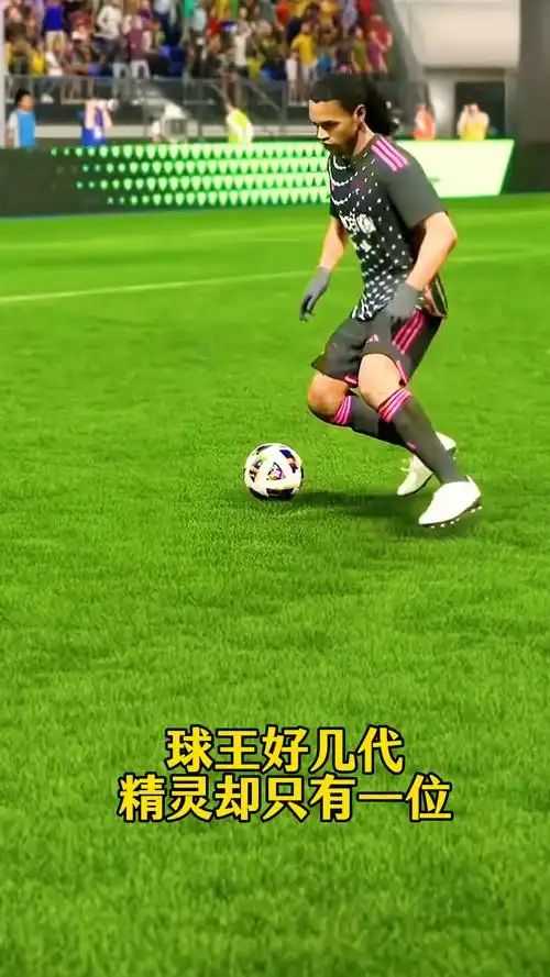 在阿莫林率